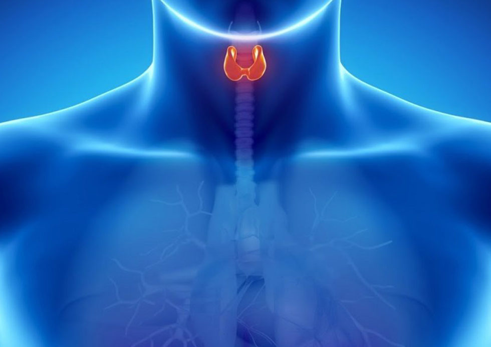 Cirurgia da Tireoide - Como é e Indicações - NICAP