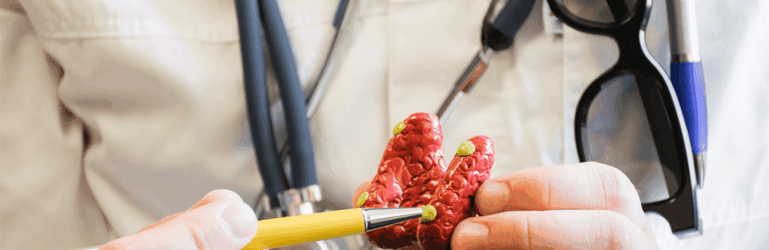 Médico com molde da tireoide em mãos.
